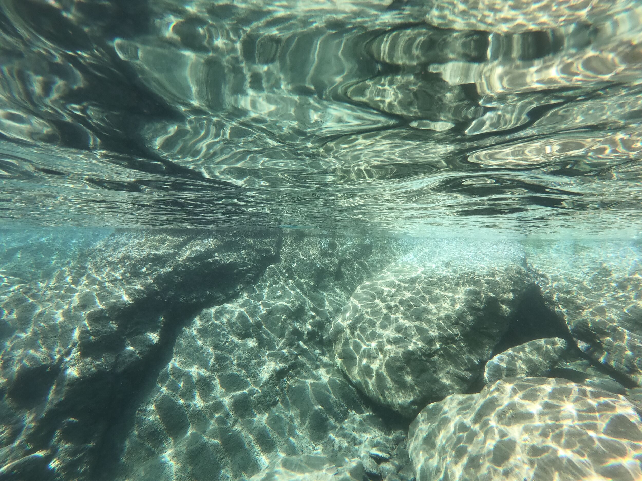 They are very hard to see underwater if you don&rsquo;t know what you&rsquo;re looking for