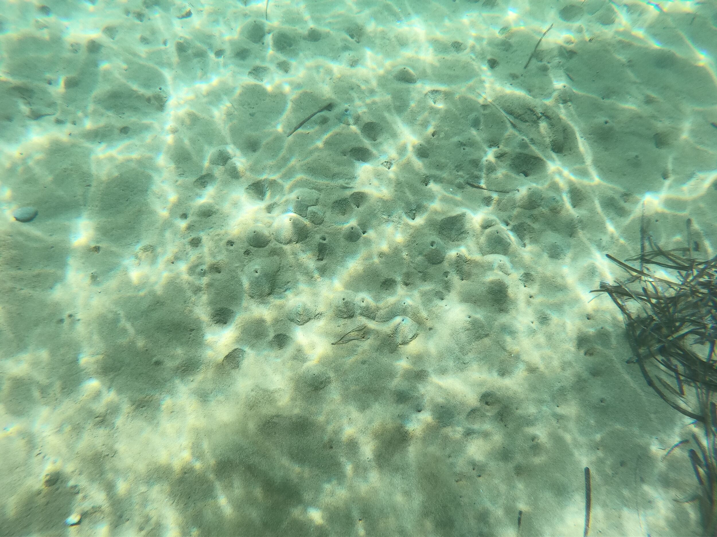 Unknown holes / structures underwater