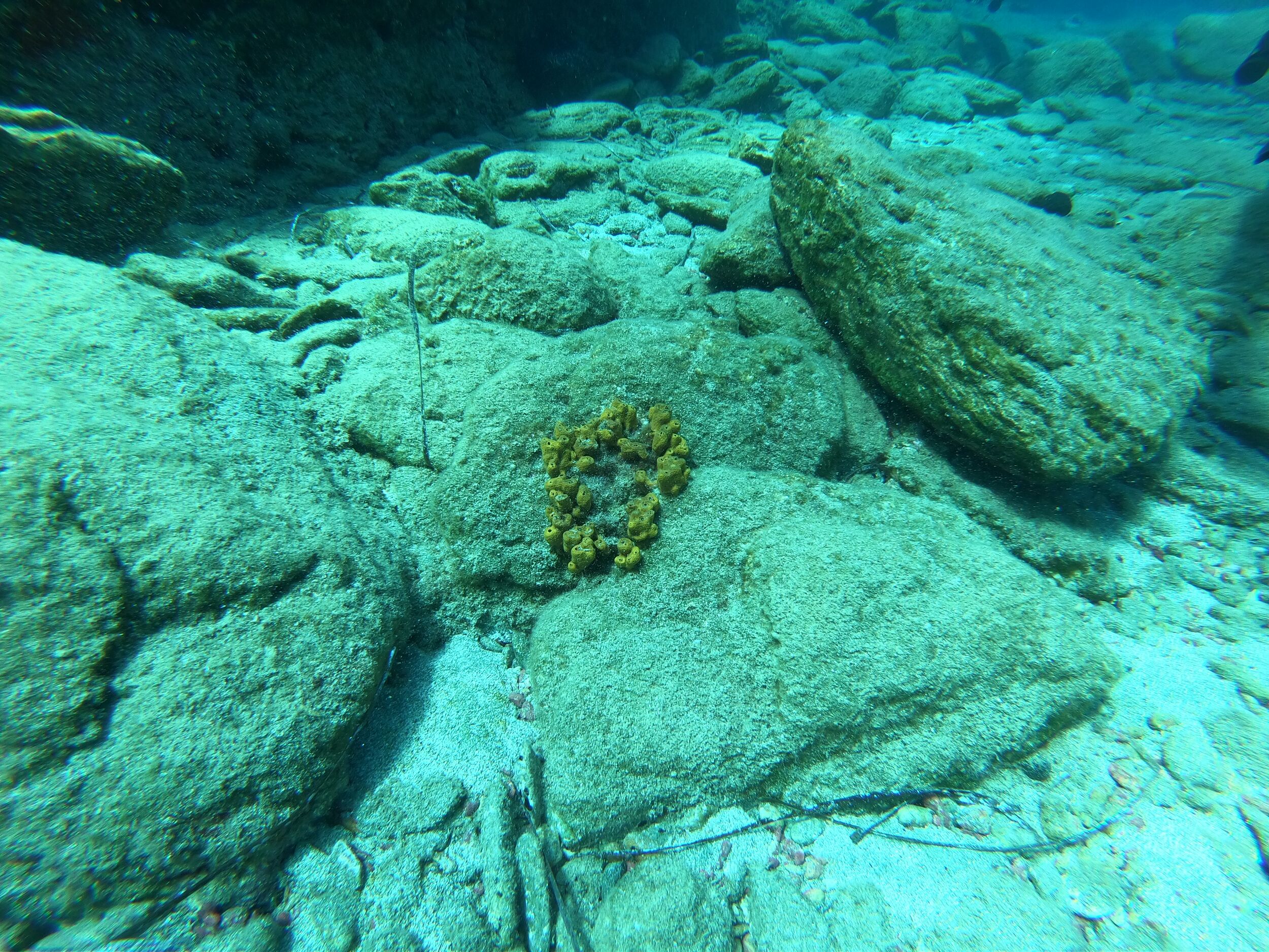 A yellow sponge - please don&rsquo;t touch it!